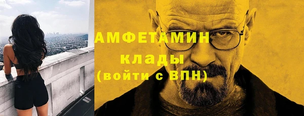 молекула духа Алексин