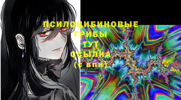 твердый Алексеевка