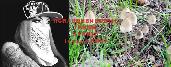 молекула духа Алексин
